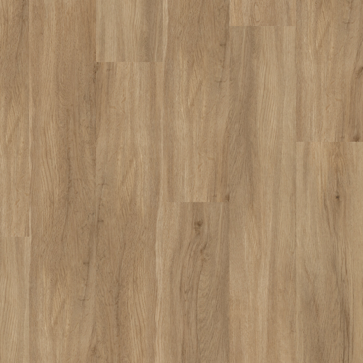 Harvest Oak - Polyflor Affinity 255 LVT swatch