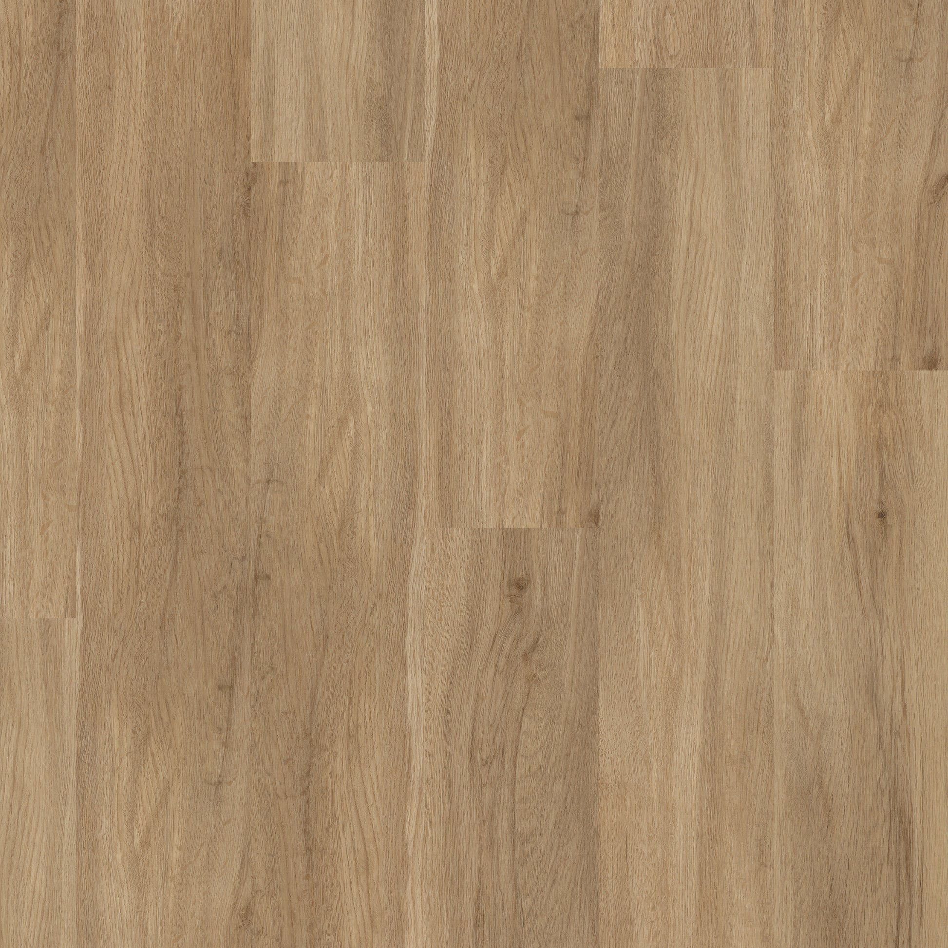 Harvest Oak - Polyflor Affinity 255 LVT swatch