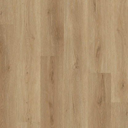 Bridstow Oak - Polyflor Conceptline LVT swatch