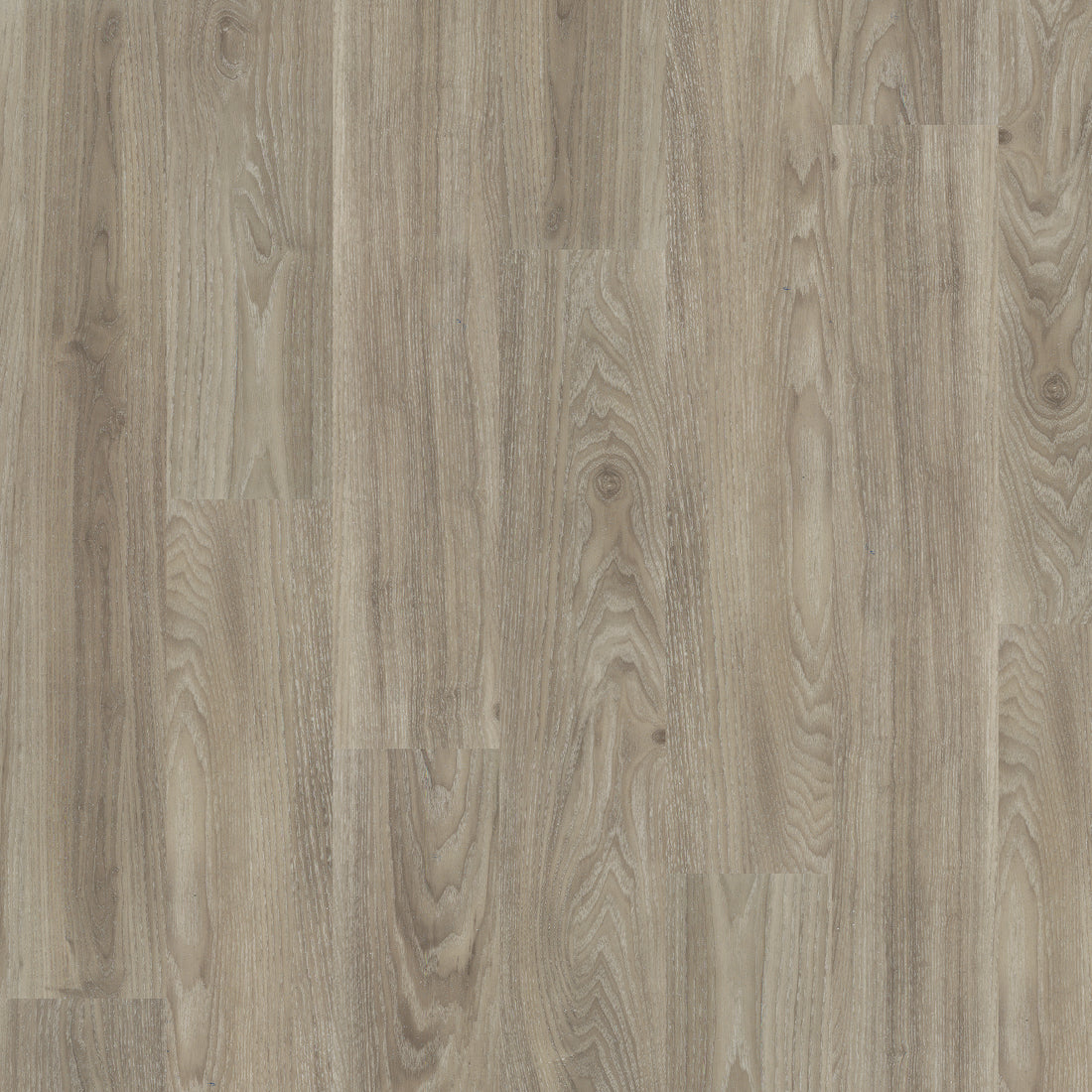 Light Elm - Polyflor Expona Control LVT swatch