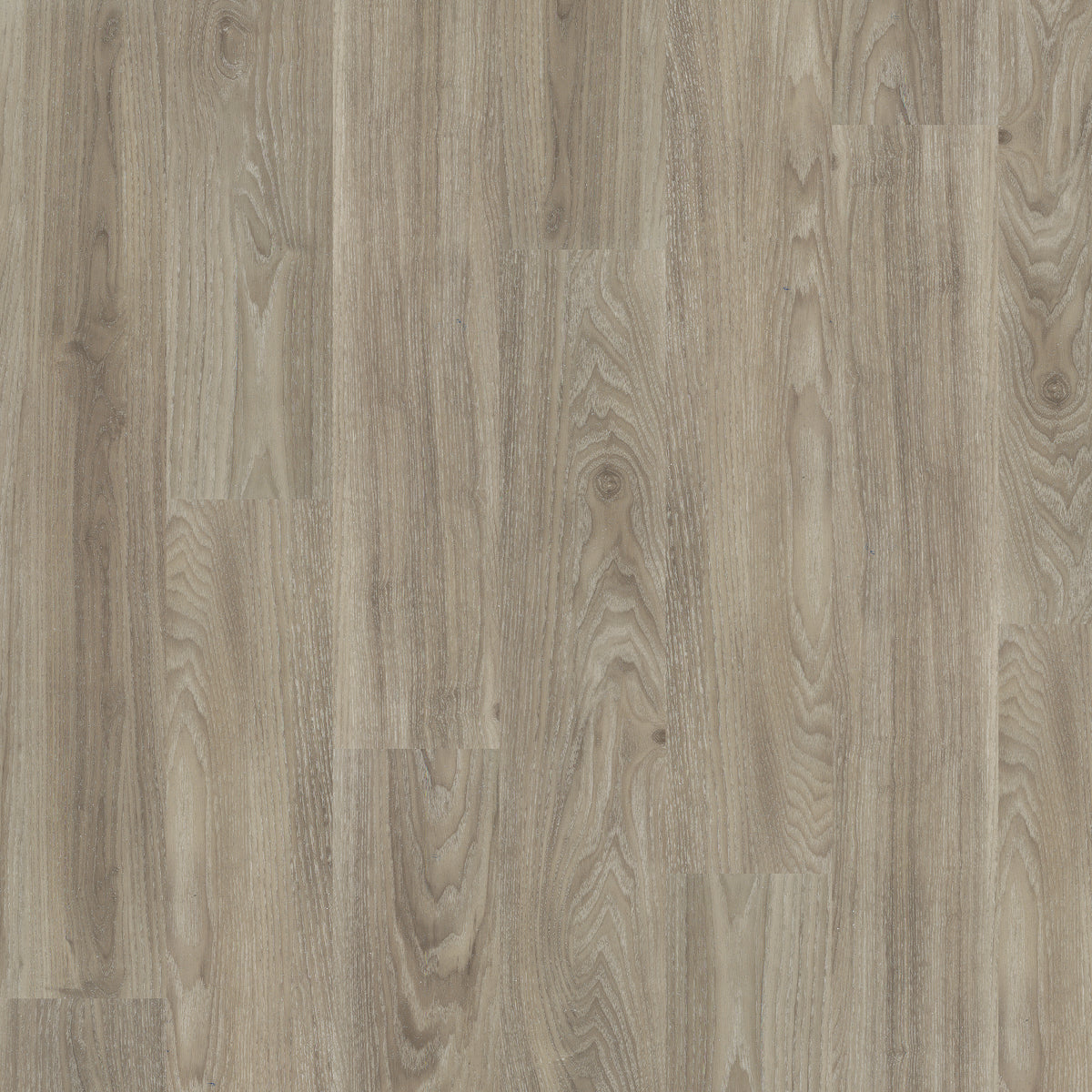 Light Elm - Polyflor Expona Control LVT swatch