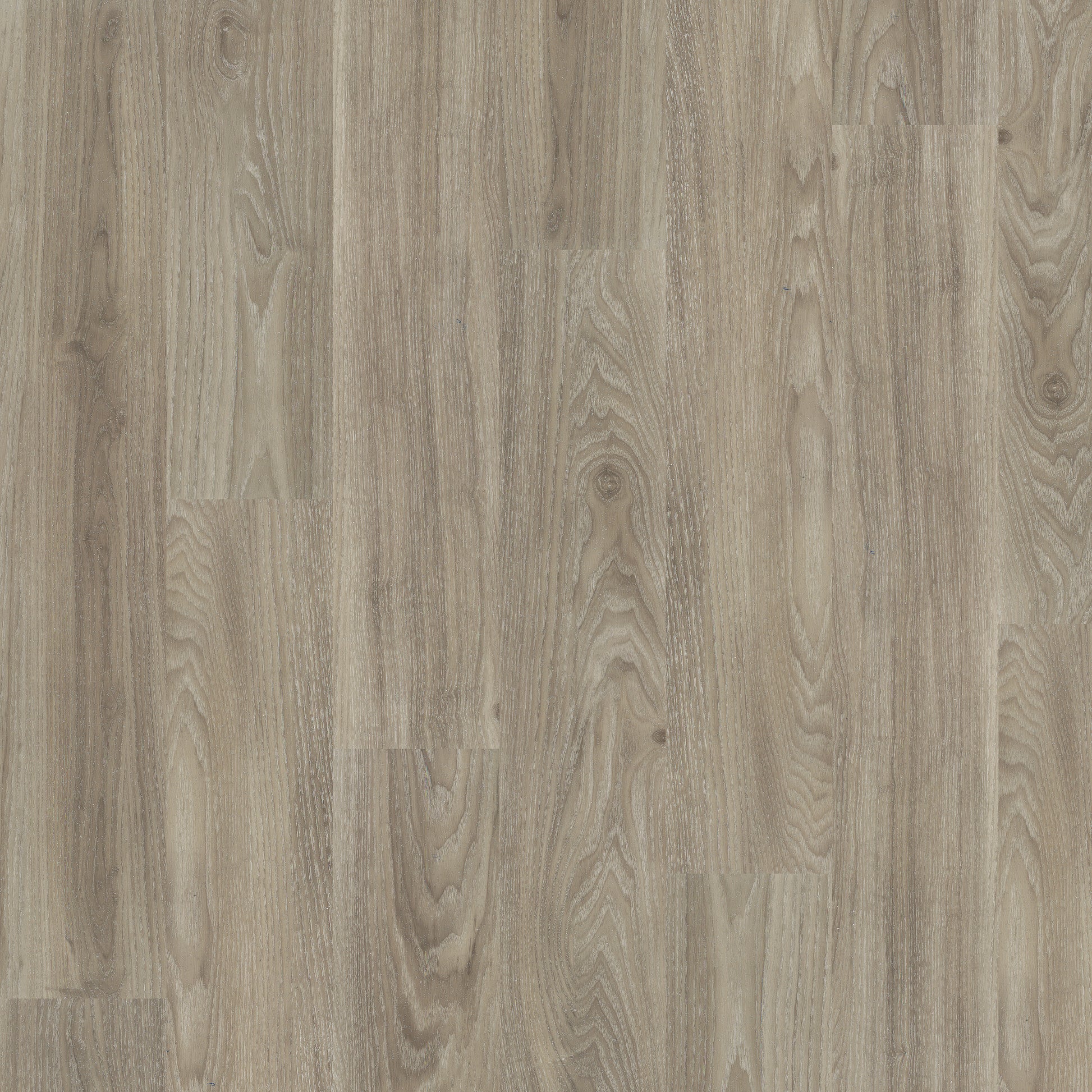 Light Elm - Polyflor Expona Control LVT swatch
