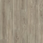 Light Elm - Polyflor Expona Control LVT swatch