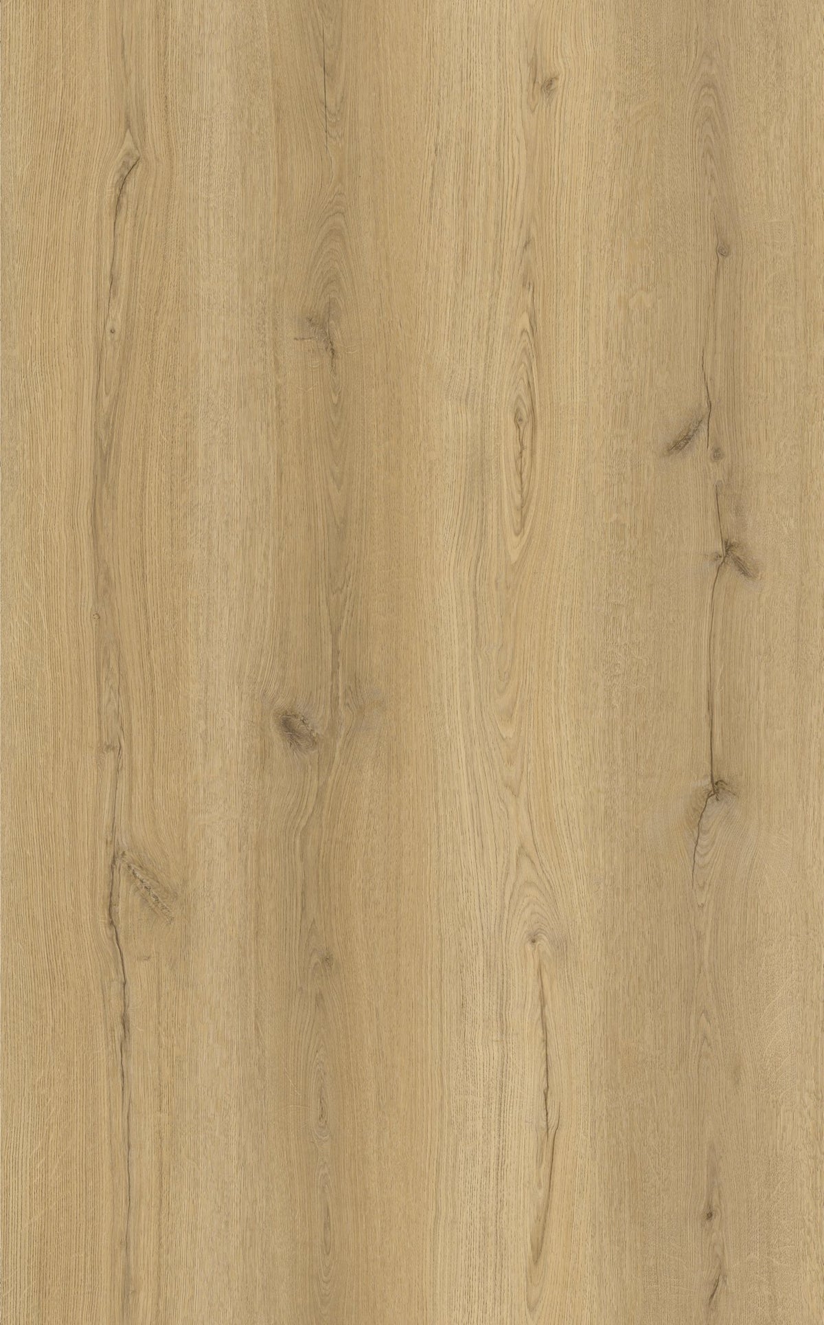 Elm Oak LVT 2.5mm 0.55mm Dry-Back Vinyl Flooring | Attraction