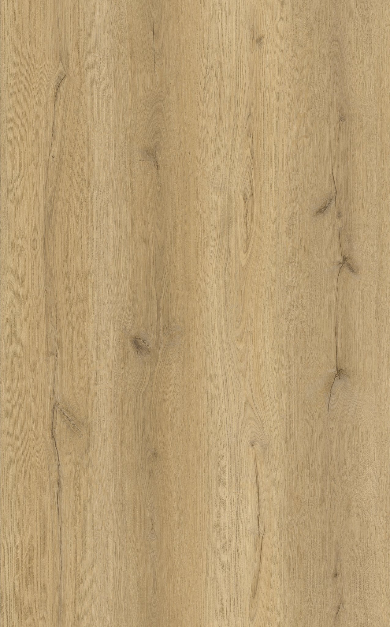 Elm Oak LVT 2.5mm 0.55mm Dry-Back Vinyl Flooring | Attraction