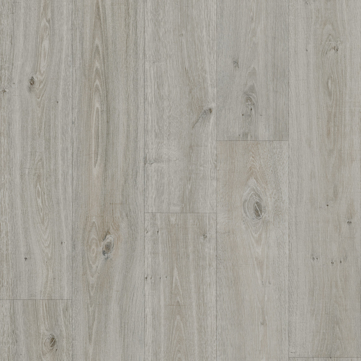 Polyflor Silentflor PUR Silver Oak 9951 acoustic sheet vinyl