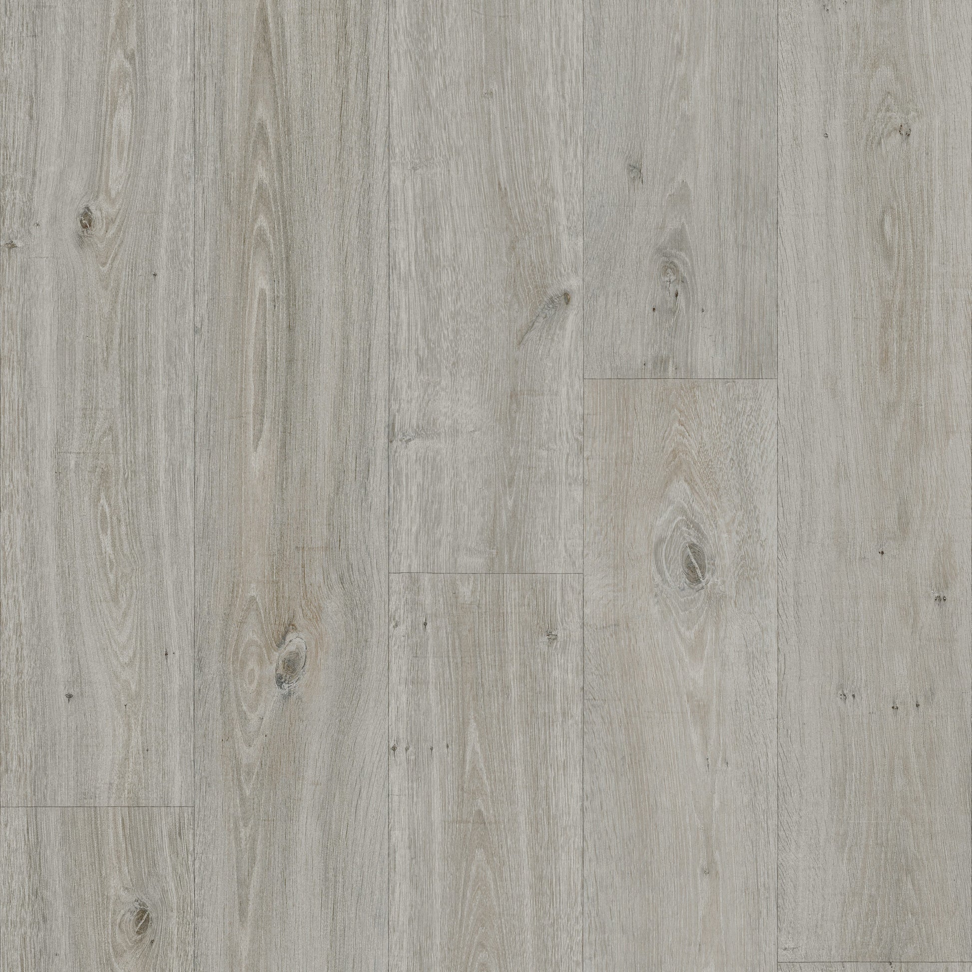 Polyflor Silentflor PUR Silver Oak 9951 acoustic sheet vinyl