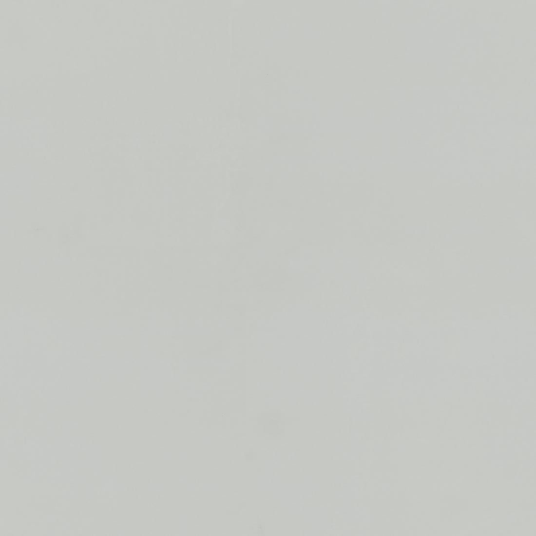 Light Mono - Polyflor Expona Simplay LVT swatch