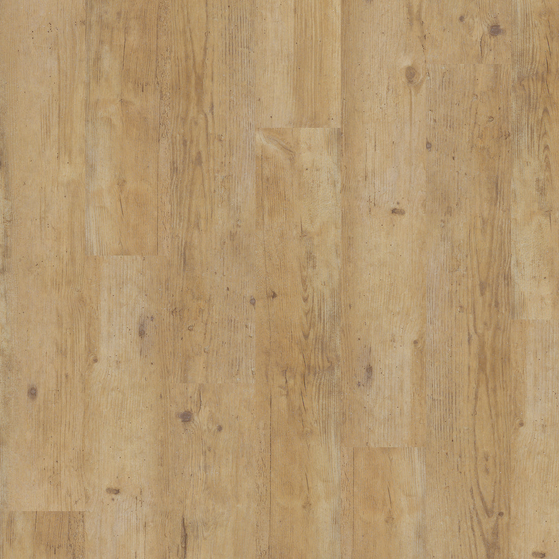 Blond Country Plank - Polyflor Expona Control LVT swatch