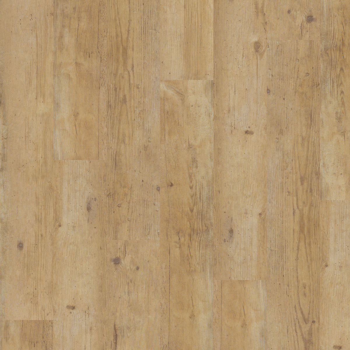 Blond Country Plank - Polyflor Expona Control LVT swatch