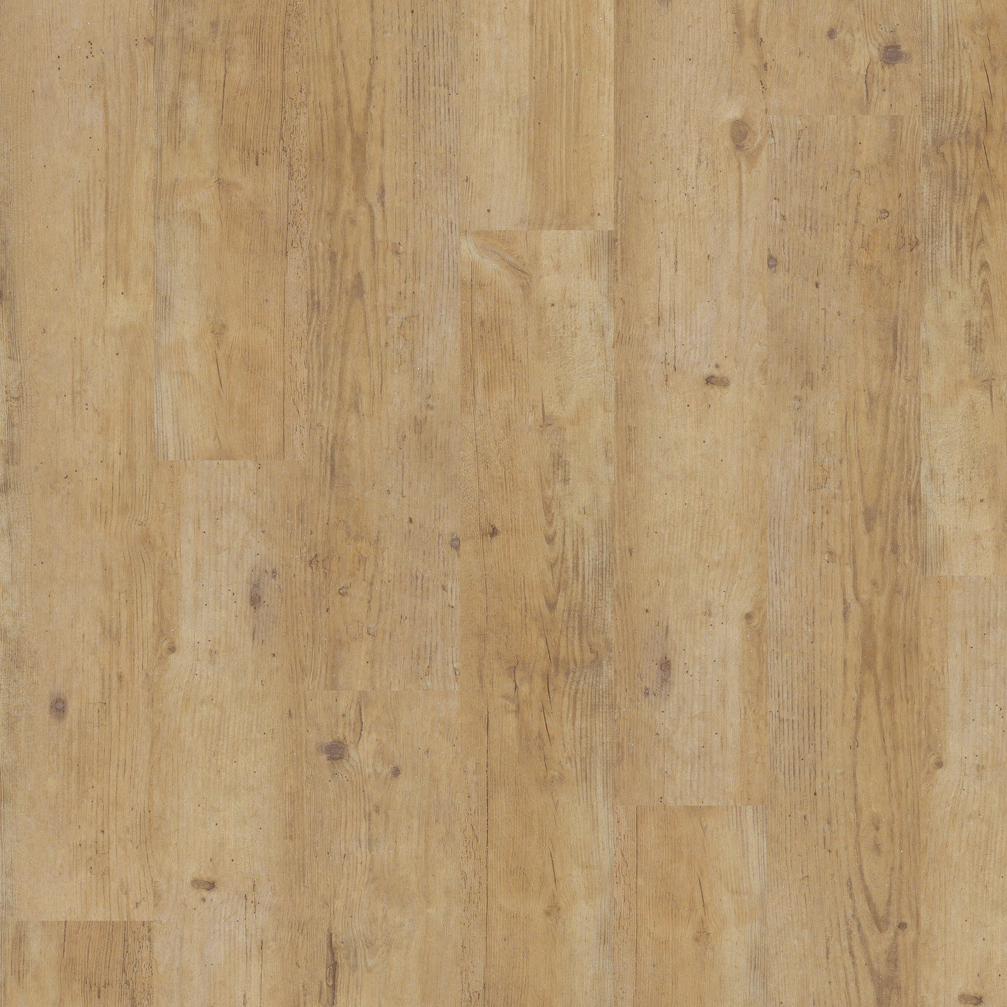 Blond Country Plank - Polyflor Expona Control LVT swatch