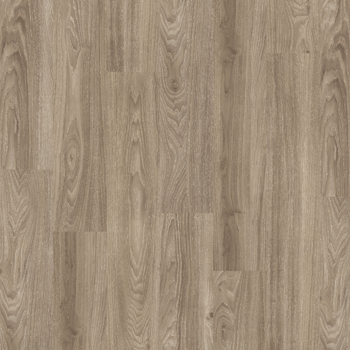 Light Elm - Polyflor Expona Design LVT swatch