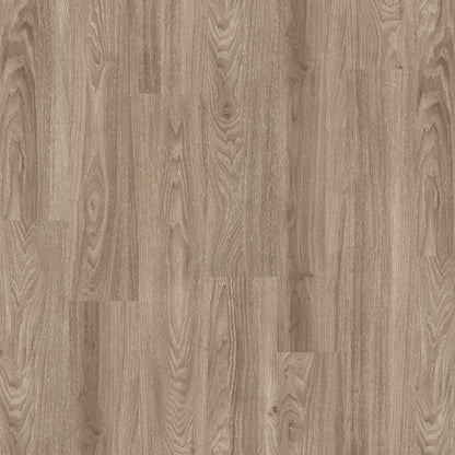 Light Elm - Polyflor Expona Design LVT swatch