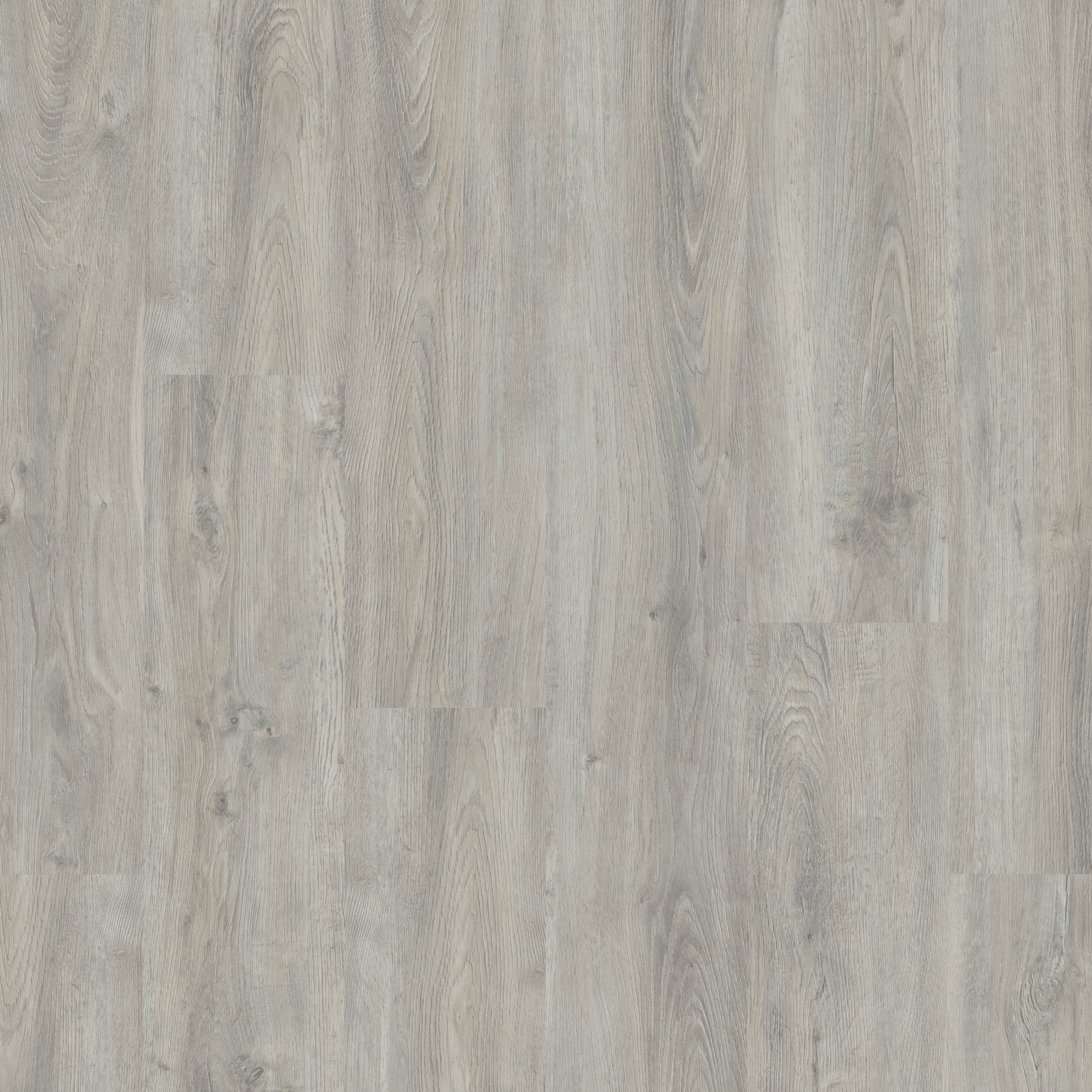 Polyflor Fusionline PUR Ashen Oak 2818 acoustic sheet vinyl