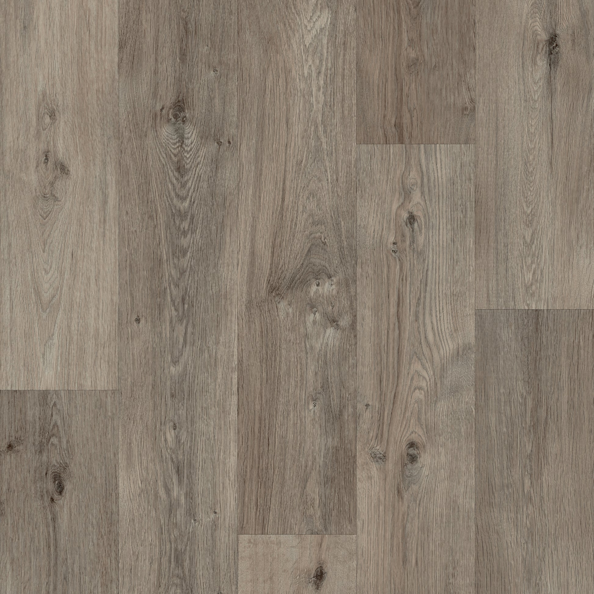 Polyflor Architex PUR Marlborough Oak 3404 commercial vinyl sheet