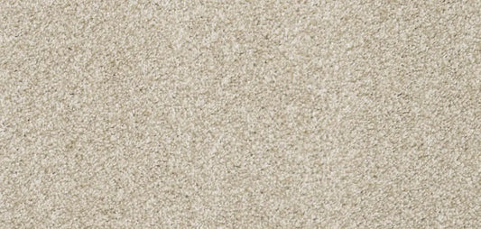 Flooring Wholesale Softness Barley Carpet wide swatch