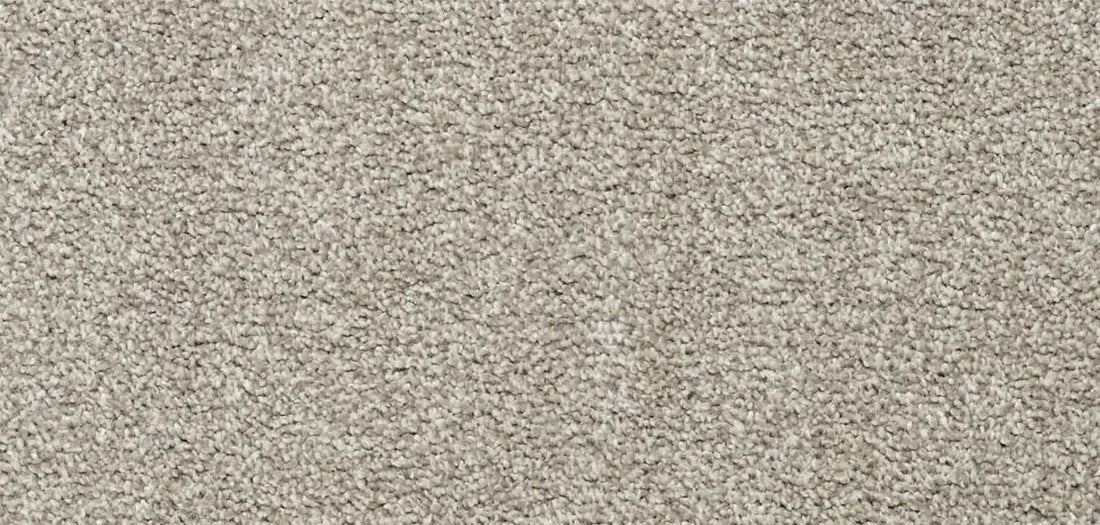 Flooring Wholesale Softness Beige Carpet wide swatch