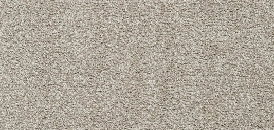 Flooring Wholesale Softness Beige Carpet wide swatch