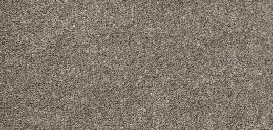 Flooring Wholesale Softness White Birch Carpet wide swatch