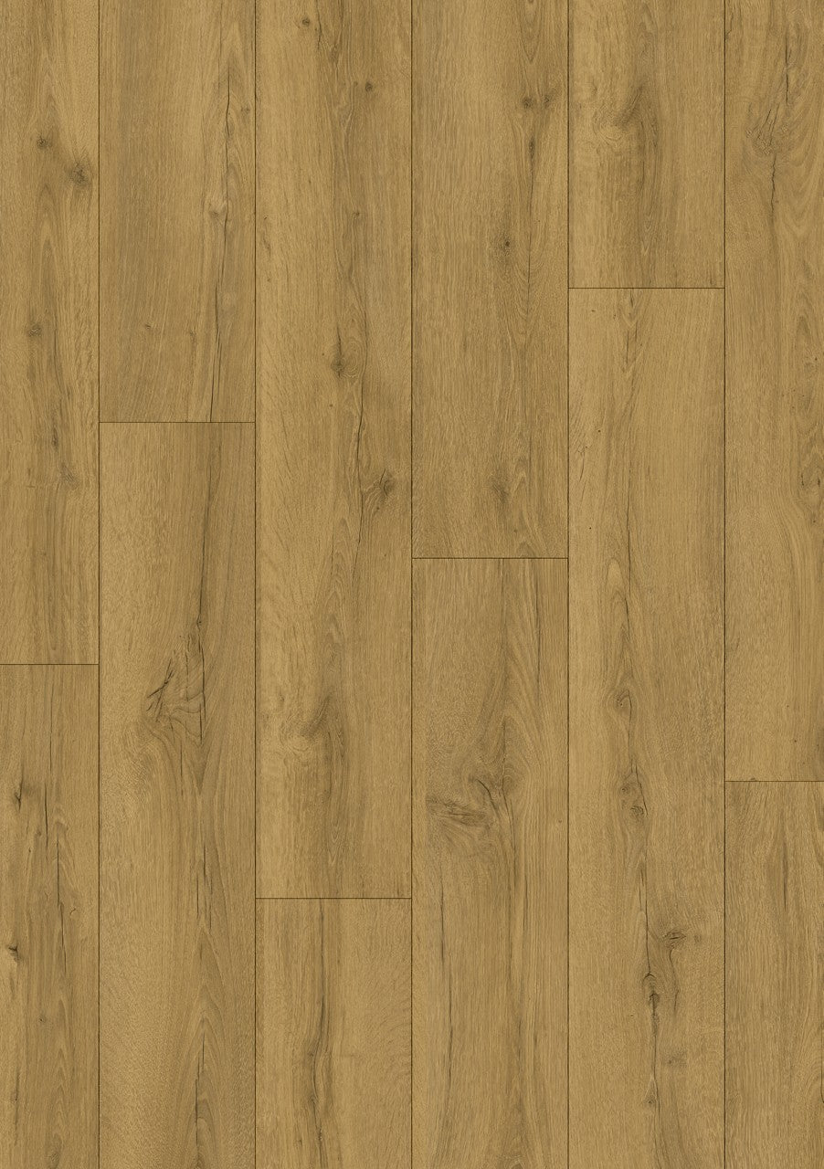 Quickstep Classic Honey Brown Oak 8mm Laminate CLM5792 | Trade Prices