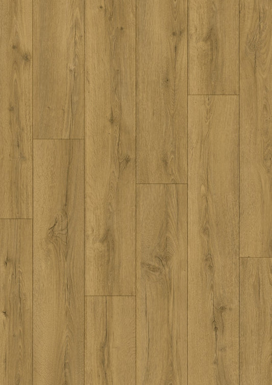 Quickstep Classic Honey Brown Oak 8mm Laminate CLM5792 | Trade Prices