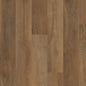 Parkside Oak - Polyflor Expona Design LVT swatch