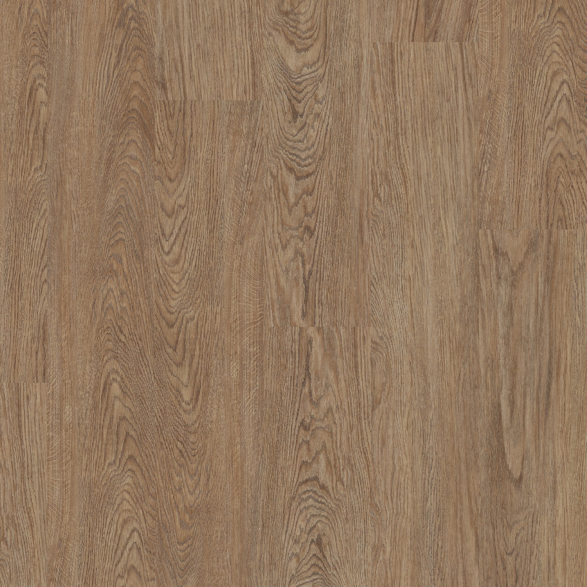 Hazel Oak - Polyflor Affinity 255 LVT swatch