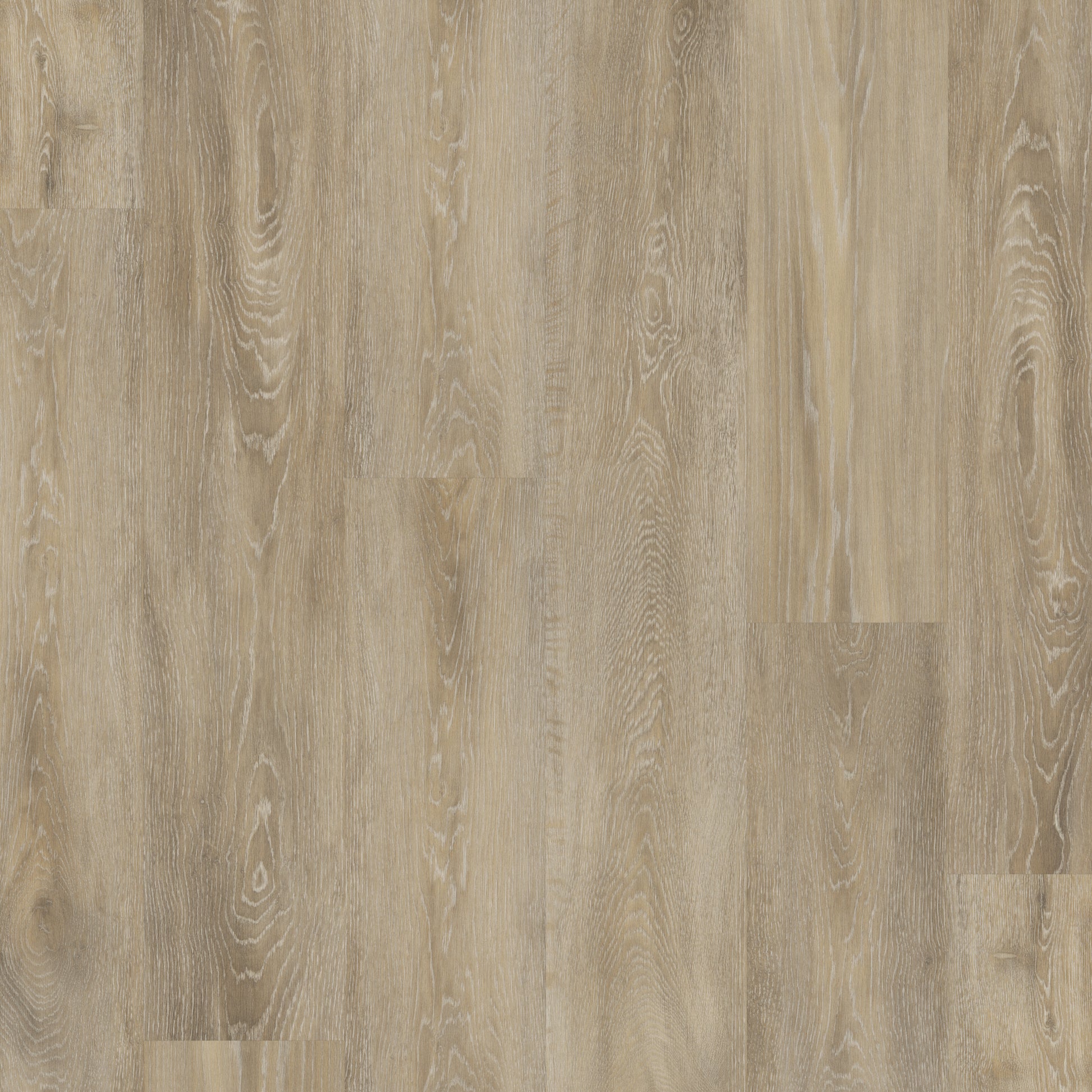Parkland Oak - Polyflor Conceptline LVT swatch