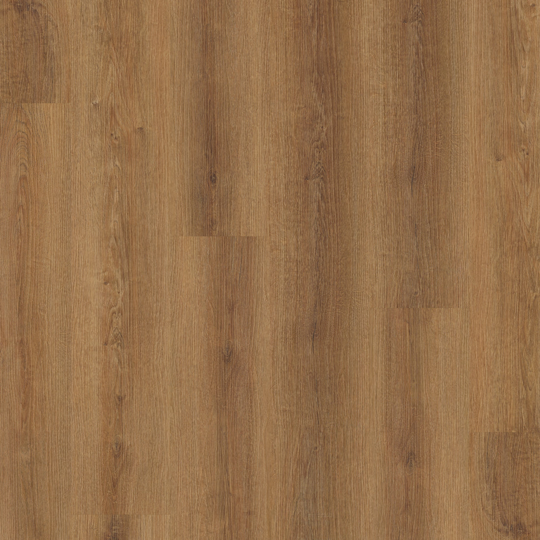 Maldon Oak - Polyflor Conceptline LVT swatch