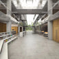Polyflor Expona Commercial Light Grey Concrete Vinyl | Trade Prices | Free Samples
