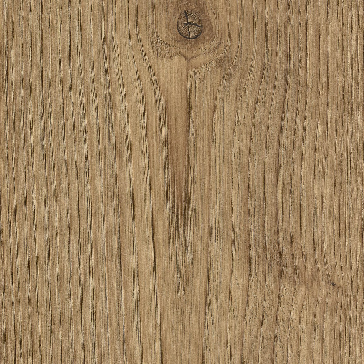 flooring-wholesale-prestige-8mm-rigel