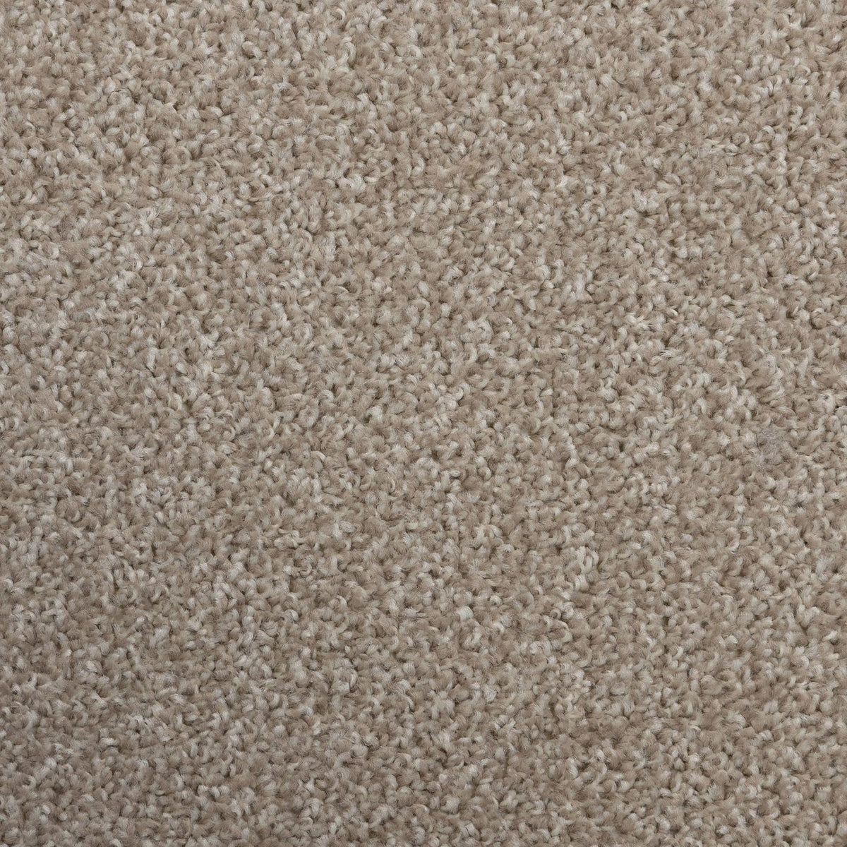 Flooring Wholesale Artisan Biscuit Carpet
