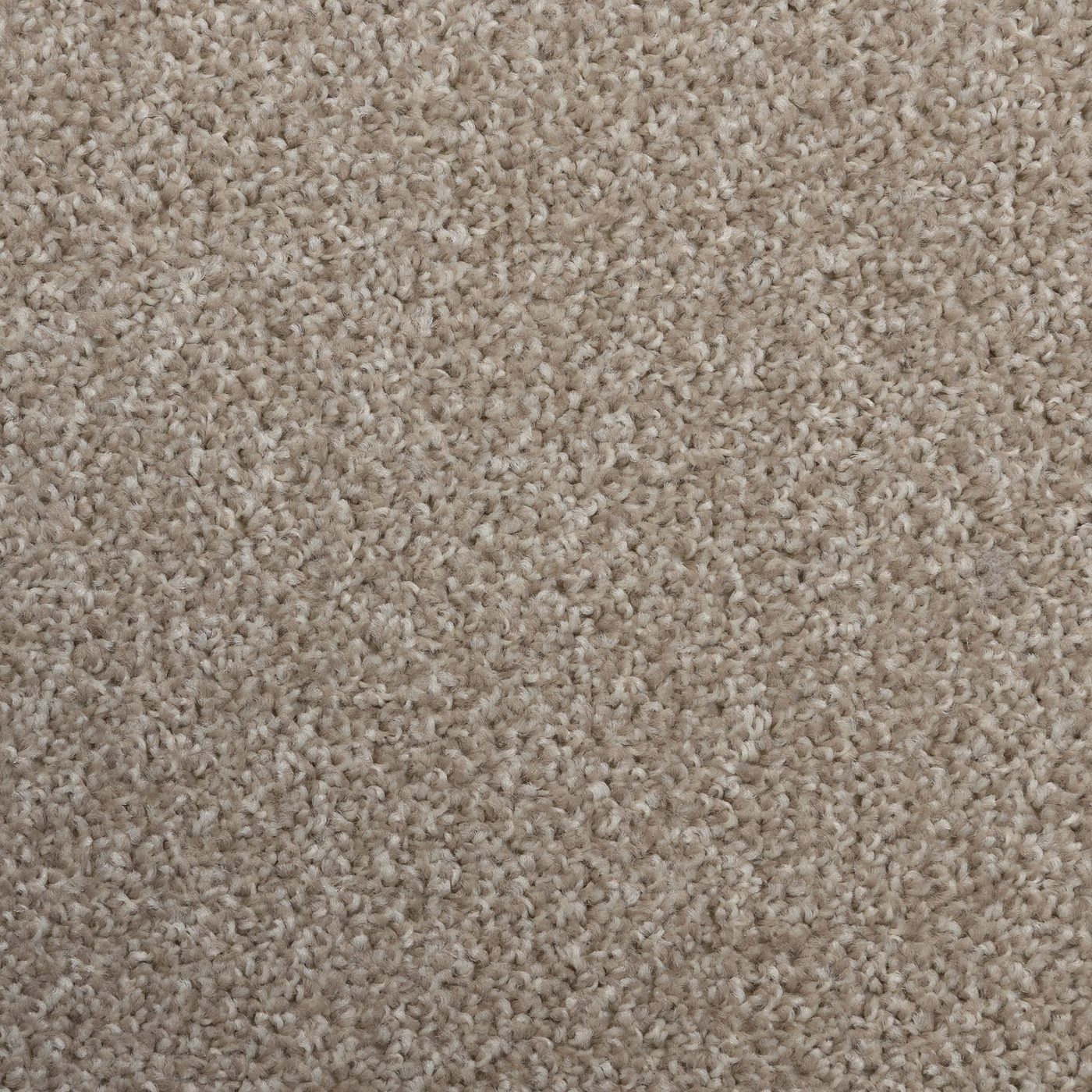 Flooring Wholesale Artisan Biscuit Carpet