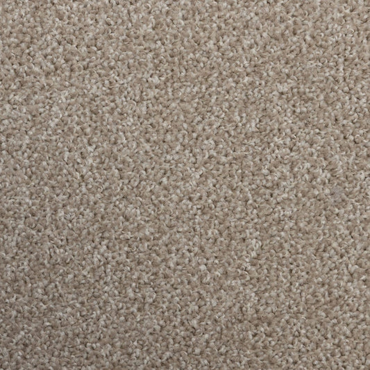 Flooring Wholesale Artisan Biscuit Carpet