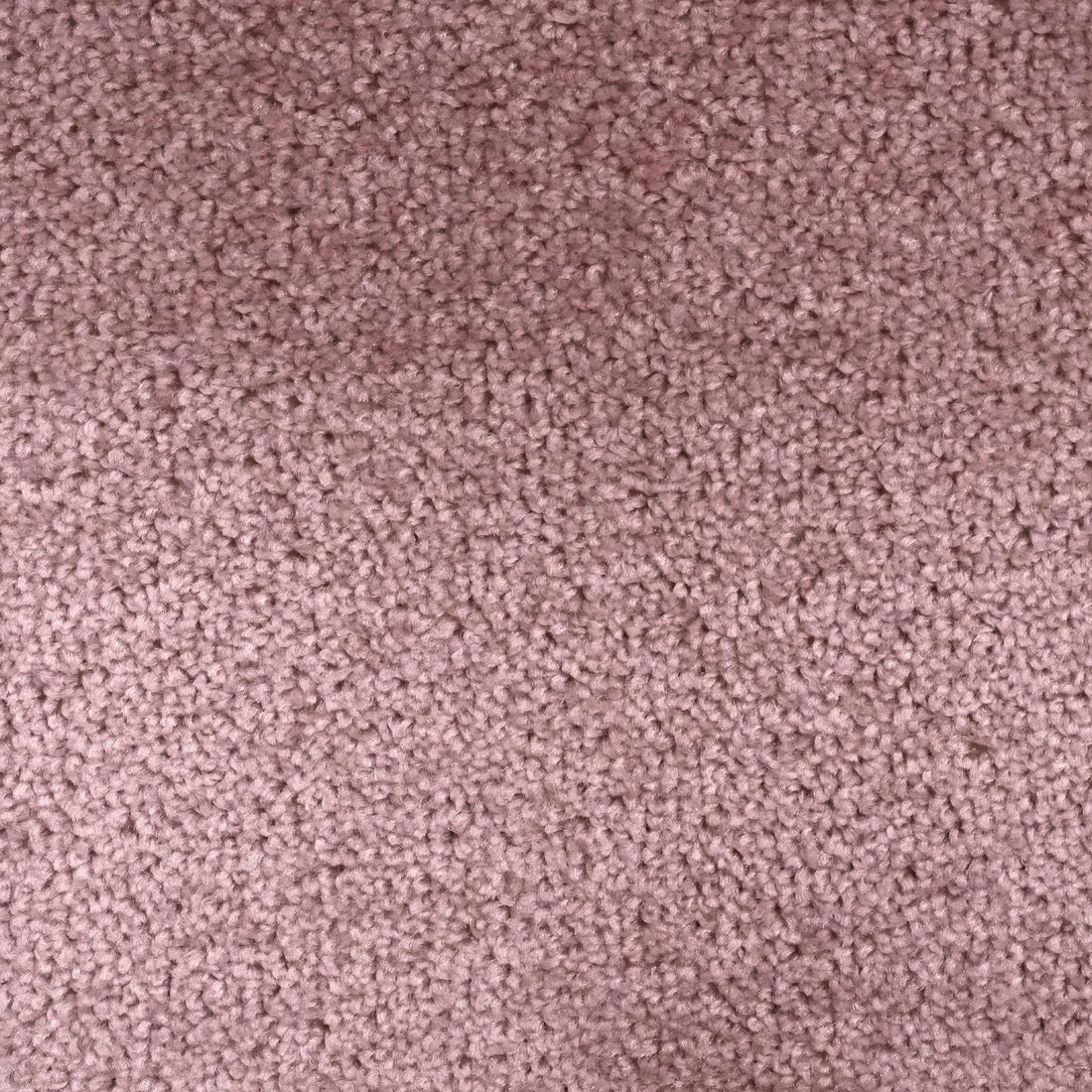 Flooring Wholesale Artisan Blossom Carpet