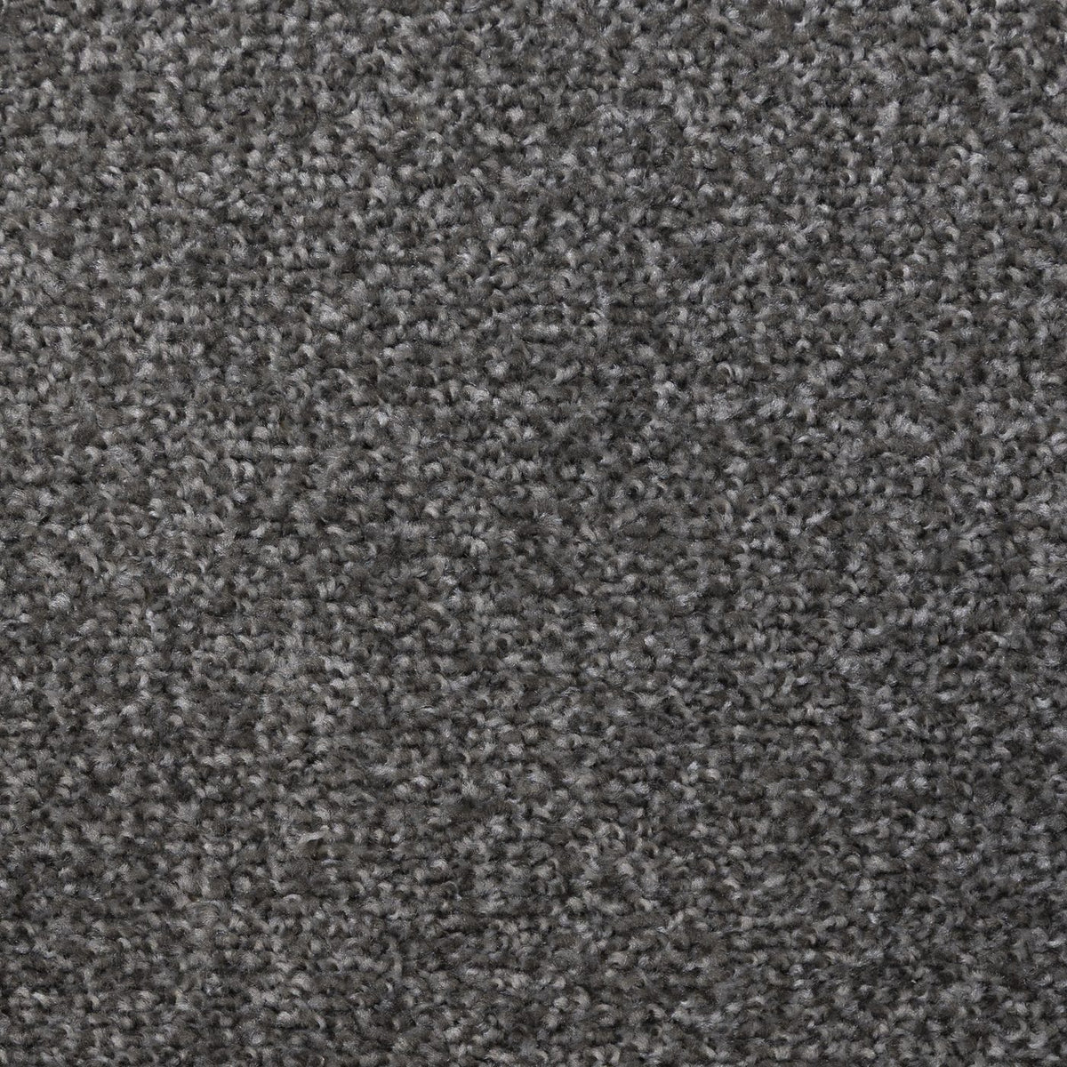 Flooring Wholesale Artisan Chalice Carpet