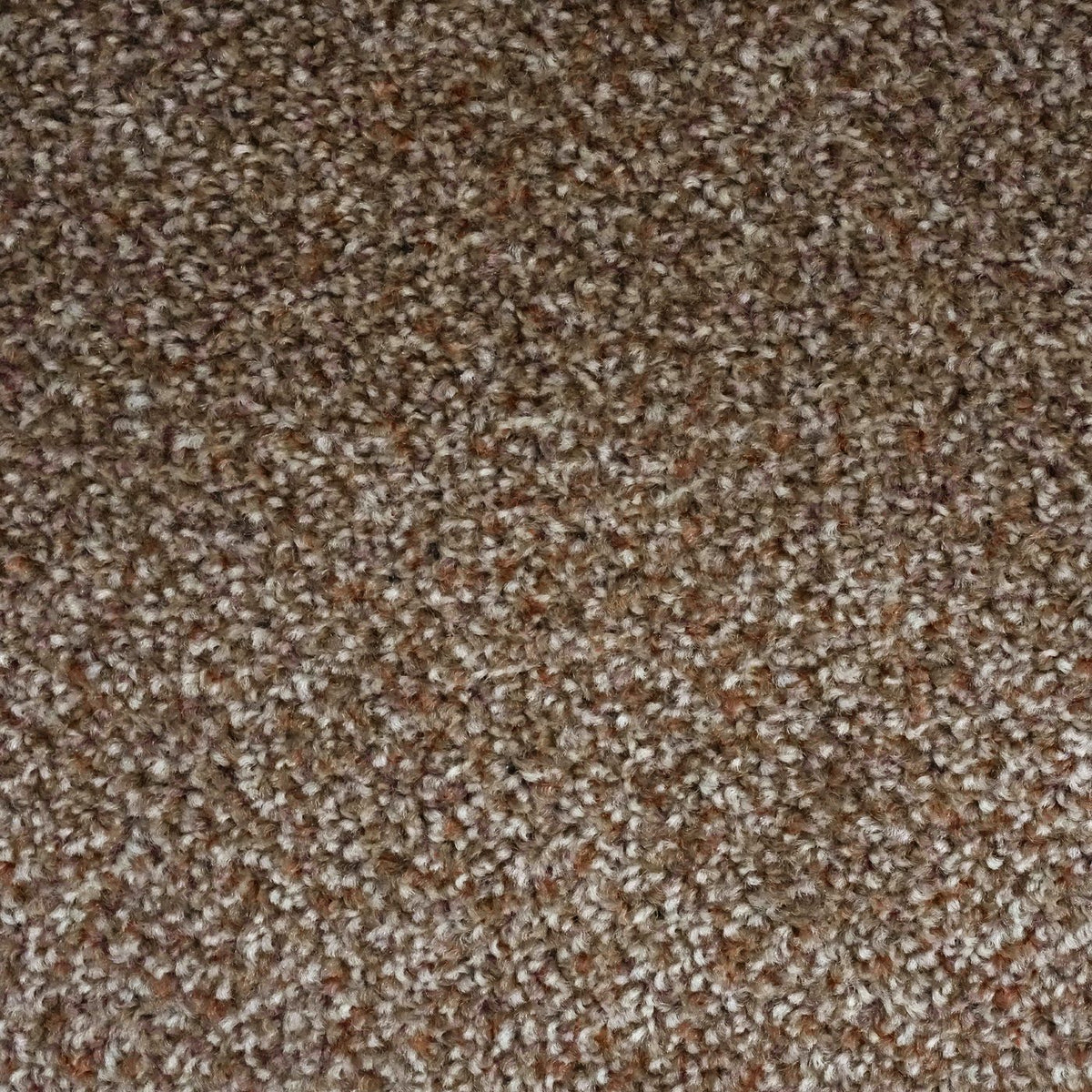 Flooring Wholesale Artisan Cocoa Carpet