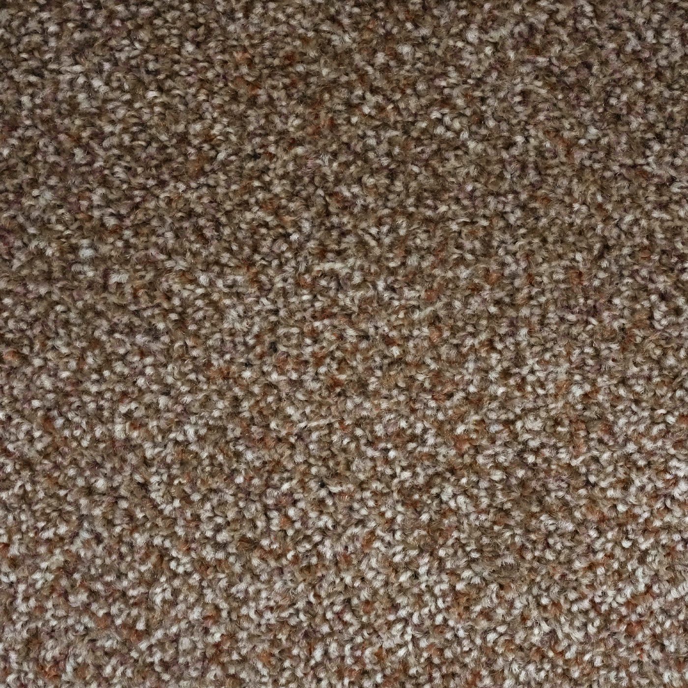 Flooring Wholesale Artisan Cocoa Carpet