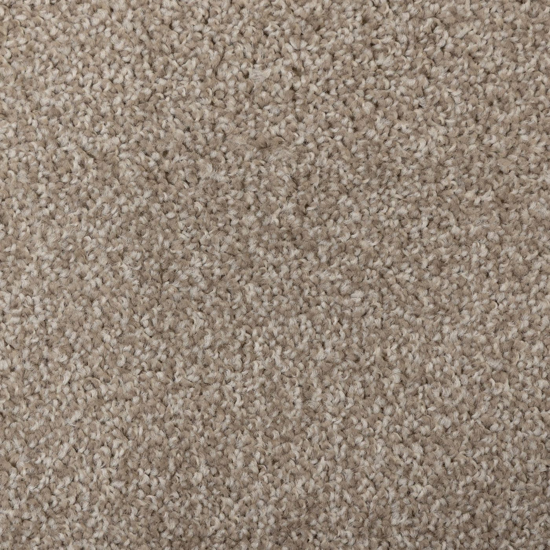 Flooring Wholesale Artisan Ecru Carpet