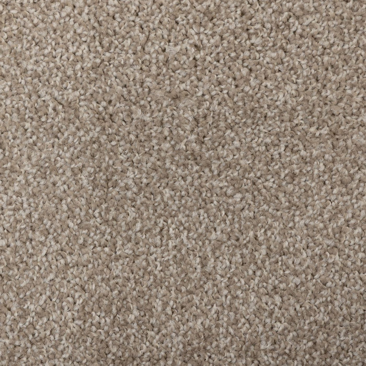 Flooring Wholesale Artisan Ecru Carpet