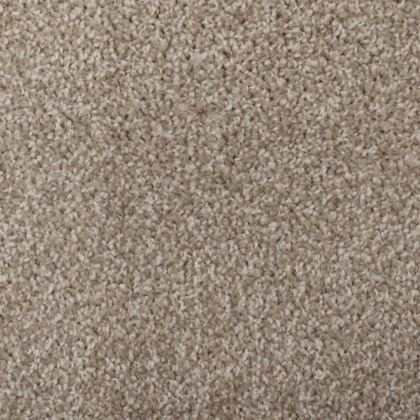 Flooring Wholesale Artisan Ecru Carpet