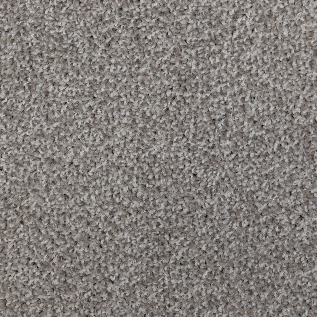 Flooring Wholesale Artisan Fossil Carpet