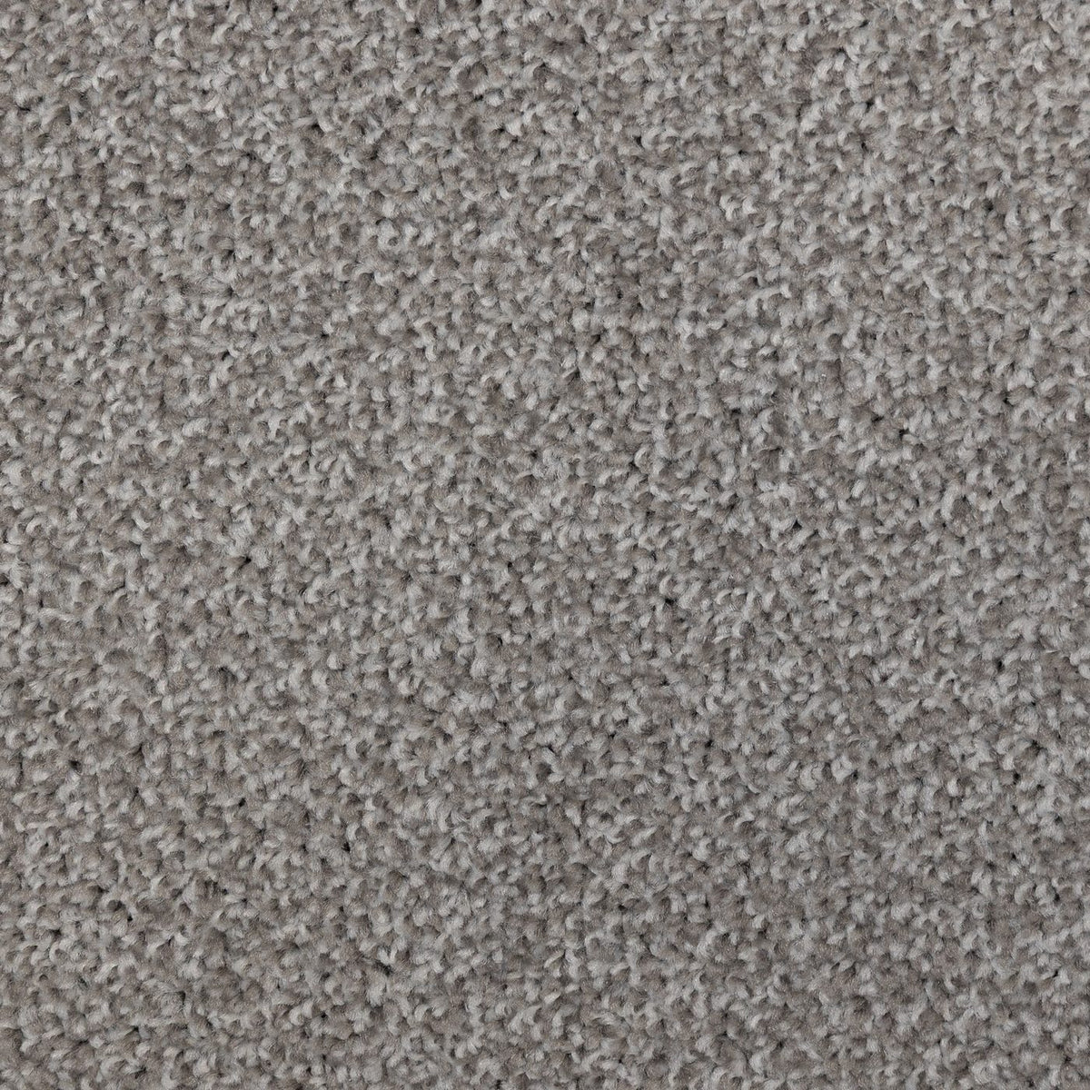 Flooring Wholesale Artisan Fossil Carpet