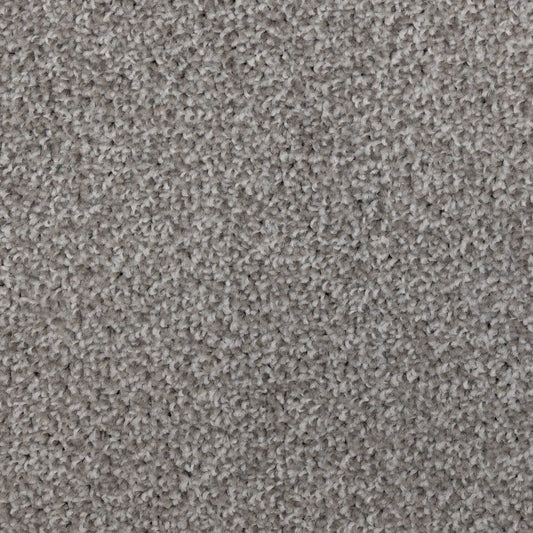 Flooring Wholesale Artisan Fossil Carpet