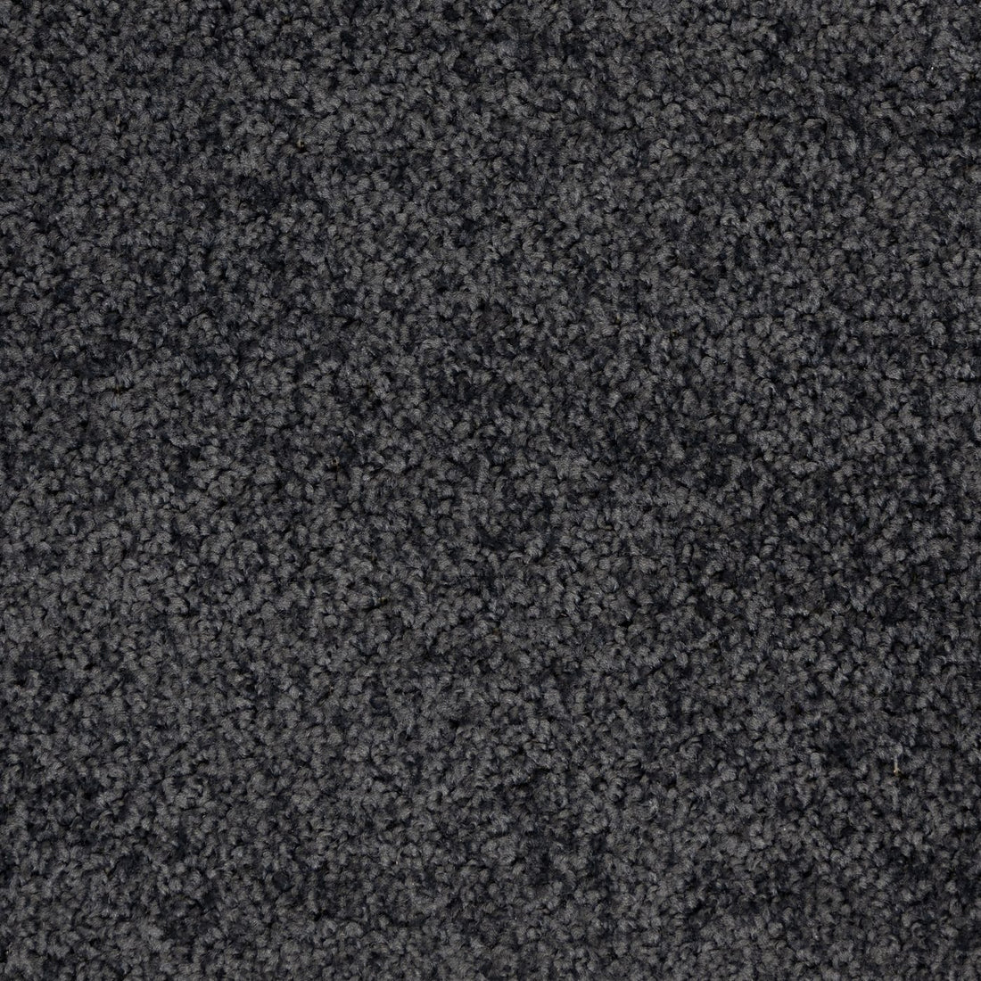 Flooring Wholesale Artisan Nightshade Carpet