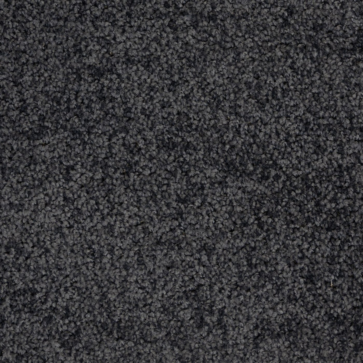 Flooring Wholesale Artisan Nightshade Carpet