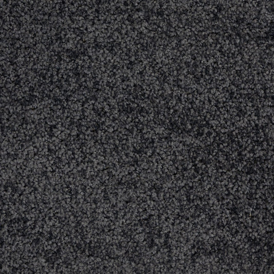 Flooring Wholesale Artisan Nightshade Carpet