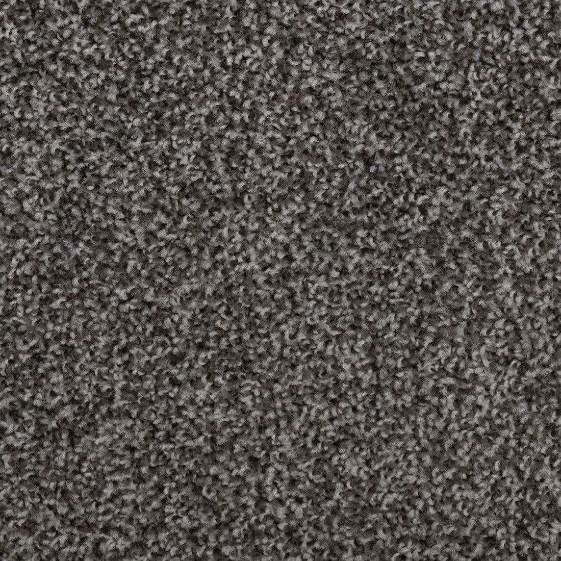 Flooring Wholesale Artisan Pewter Carpet