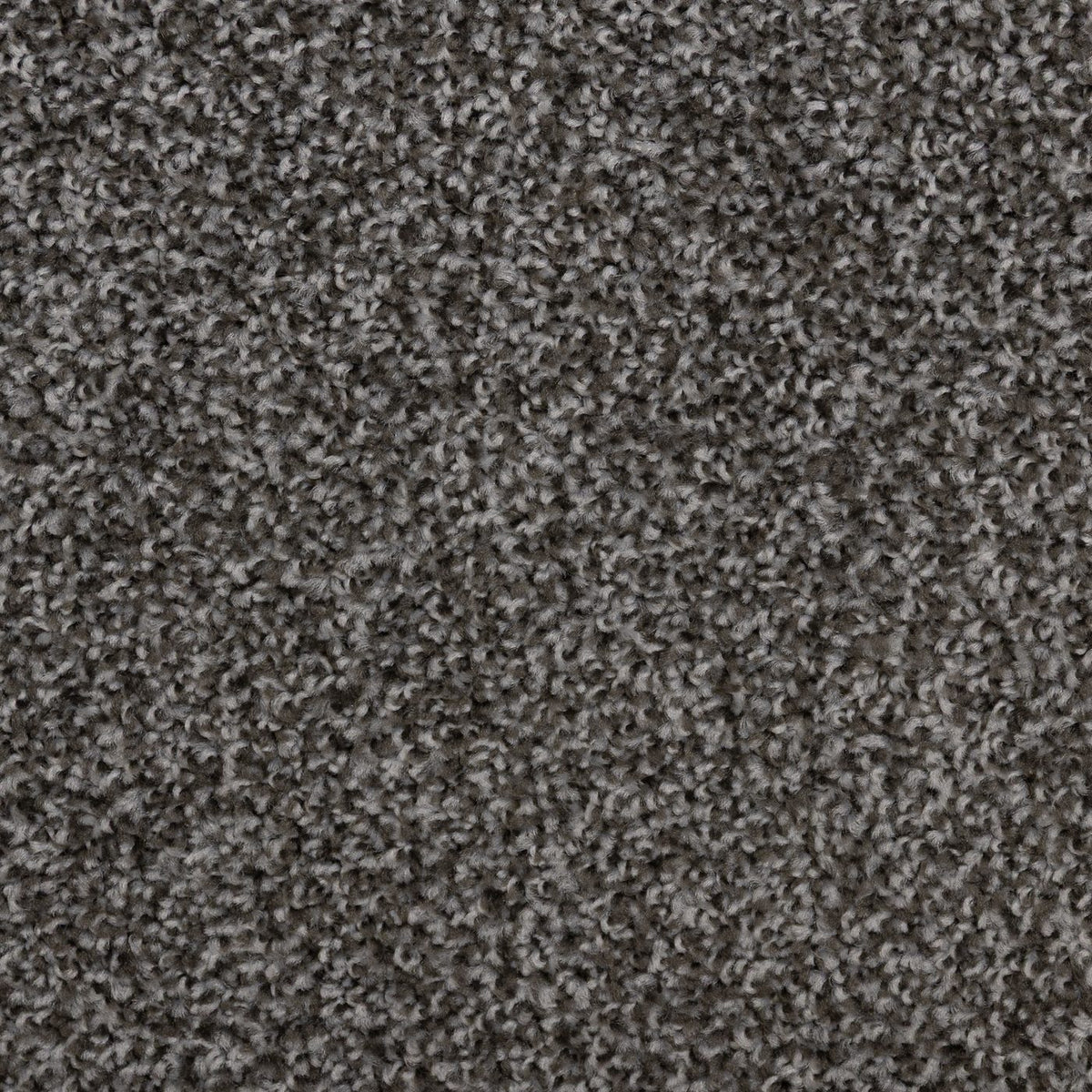 Flooring Wholesale Artisan Pewter Carpet