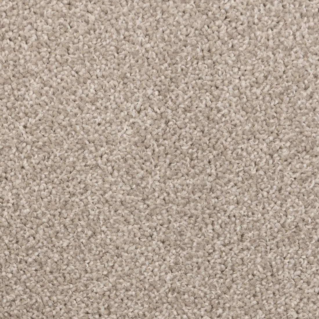 Flooring Wholesale Artisan Shell Carpet